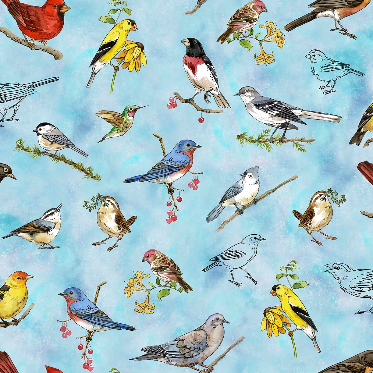 Precut Fabric Fat Quarter Bundle Drawn to Birds by Jane Maday for QT Fabrics - 13 Fat Quarters