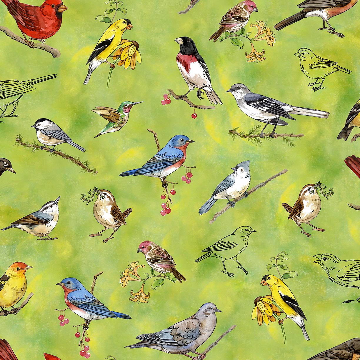 Precut Fabric Fat Quarter Bundle Drawn to Birds by Jane Maday for QT Fabrics - 13 Fat Quarters