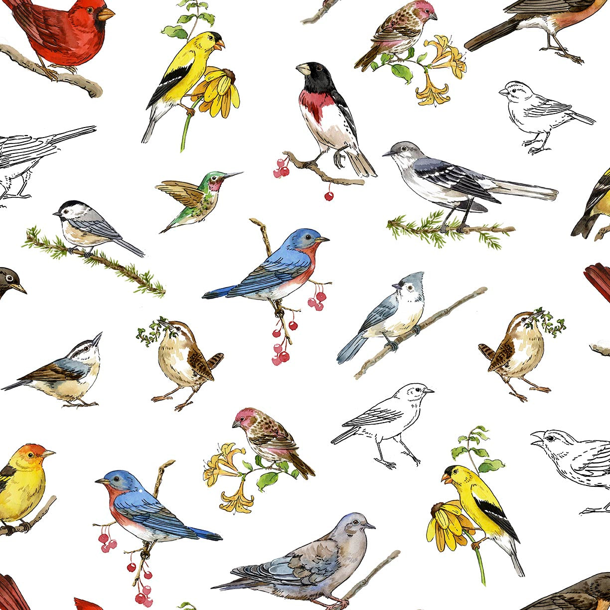 Precut Fabric Fat Quarter Bundle Drawn to Birds by Jane Maday for QT Fabrics - 13 Fat Quarters