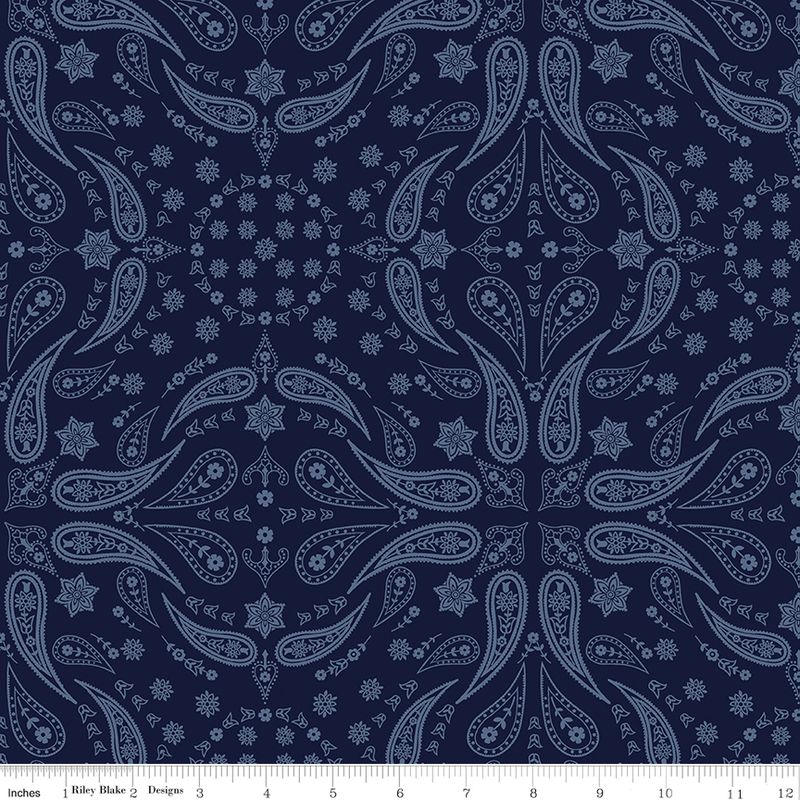 Precut Fabric Charm Pack - Back of the Chutes by Hugh Cabot for Riley Blake Designs - 5" Fabric Squares