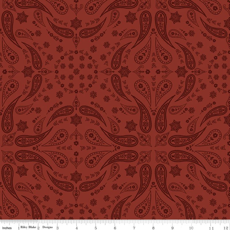 Precut Fabric Charm Pack - Back of the Chutes by Hugh Cabot for Riley Blake Designs - 5" Fabric Squares