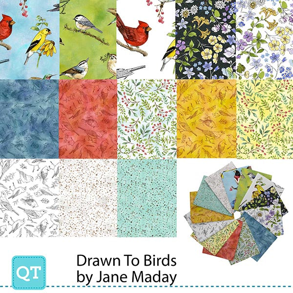 Precut Fabric Fat Quarter Bundle Drawn to Birds by Jane Maday for QT Fabrics - 13 Fat Quarters
