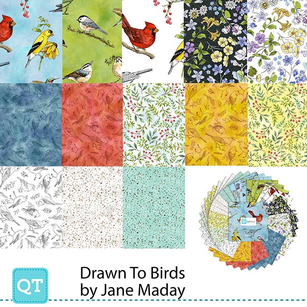 Precut Fabric Layer Cake Drawn to Birds by Jane Maday for QT Fabrics - 10" Squares