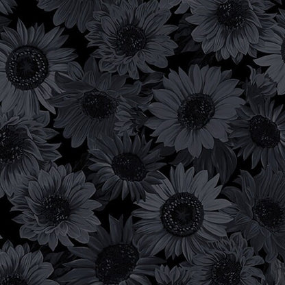 108" Wide Sunflower Whisper Black by Kanvas Studio for Benartex - Beautiful Black Floral Quilt Backing Fabric by the Yard