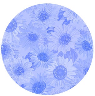 108" Wide Sunflower Whisper Cornflower Blue by Kanvas Studio for Benartex - Beautiful Blue Floral Quilt Backing Fabric by the Yard