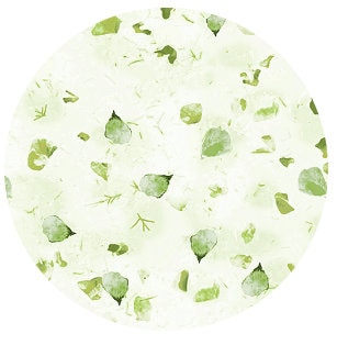 43-44" Wide Potpourri Petals Light Green Quilt Fabric Designed by Greta Lynn for Kanvas Studio and Benartex - Sold by the Yard