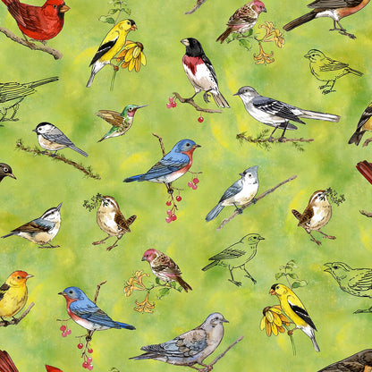 Precut Fabric Fat Quarter Bundle Drawn to Birds by Jane Maday for QT Fabrics - 13 Fat Quarters