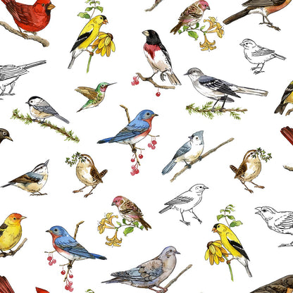 Precut Fabric Fat Quarter Bundle Drawn to Birds by Jane Maday for QT Fabrics - 13 Fat Quarters