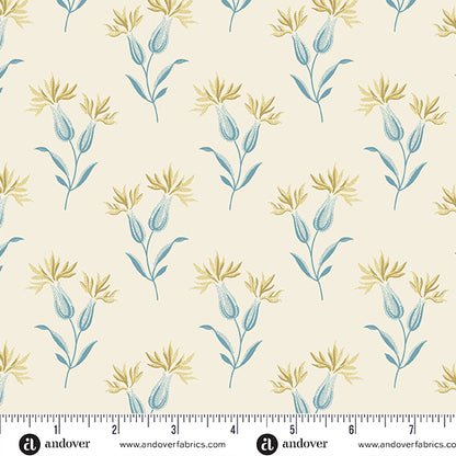 2 1/2" Fabric Design Roll - BEACH HOUSE by Edyta Sitar of Laundry Basket Quilts for Andover Makower UK