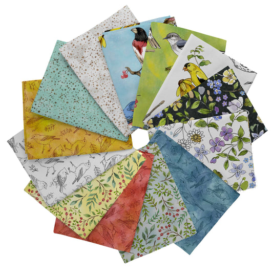 Precut Fabric Fat Quarter Bundle Drawn to Birds by Jane Maday for QT Fabrics - 13 Fat Quarters