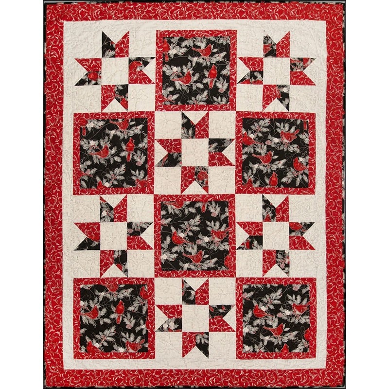 Make it Christmas With 3-Yard Quilts Book by Donna Robertson and Fran Morgan