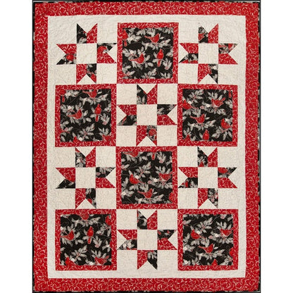 Make it Christmas With 3-Yard Quilts Book by Donna Robertson and Fran Morgan