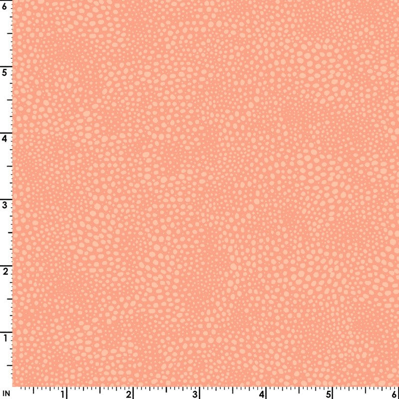 Fat Quarter Bundle Quilt Fabric Wild Side Collection | Maywood Studio - 21 Pieces