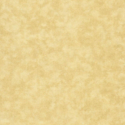 43-44" Wide CLOUD NINE Made in the USA Tan Tonal Quilt Fabric - Sold by the Yard