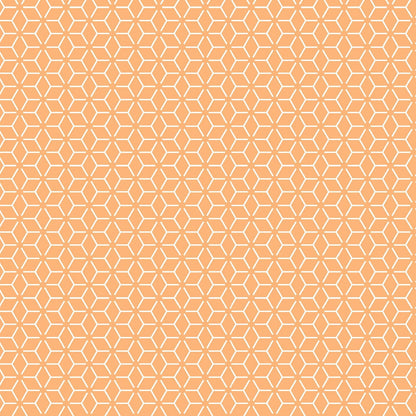 43-44" Wide KIMBERBELL BASICS CLASSIC Connected Stars Orange Tonal Quilt Fabric for Maywood Studio - Sold by the Yard